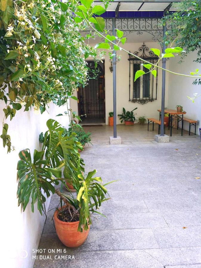 Apartment Alacas Sevilla Exterior photo