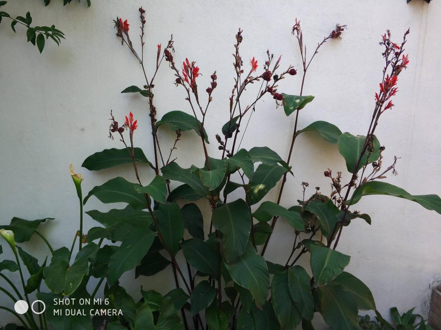 Apartment Alacas Sevilla Exterior photo