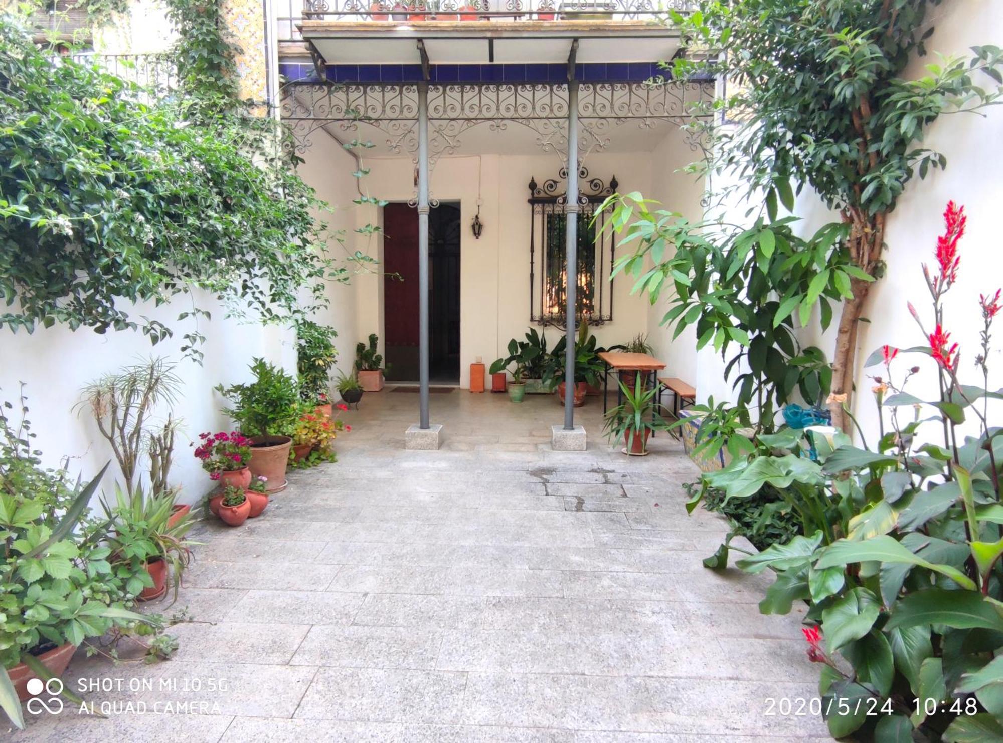 Apartment Alacas Sevilla Exterior photo